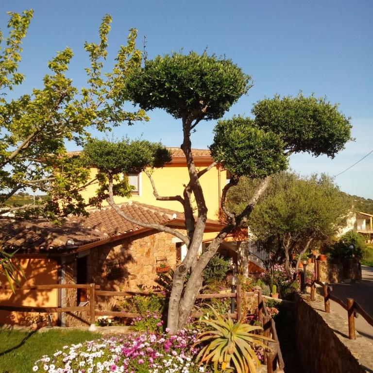 ACQUAMARINA con meraviglioso giardino - Casa con 2 Camere da Letto - 12