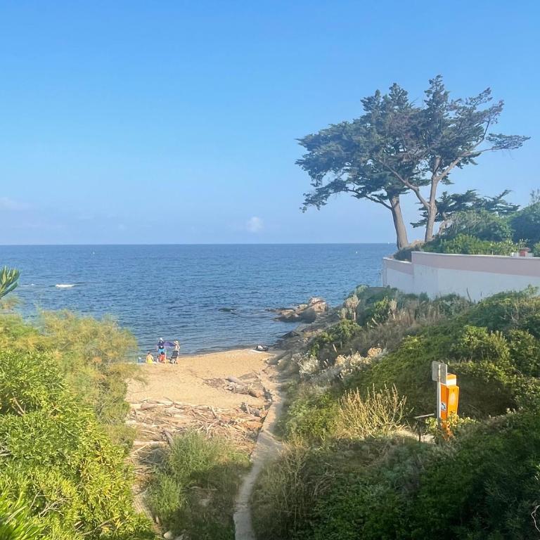 Beau 2 pièces emplacement n 1 proche de la mer - Apartment mit 1 Schlafzimmer - 15