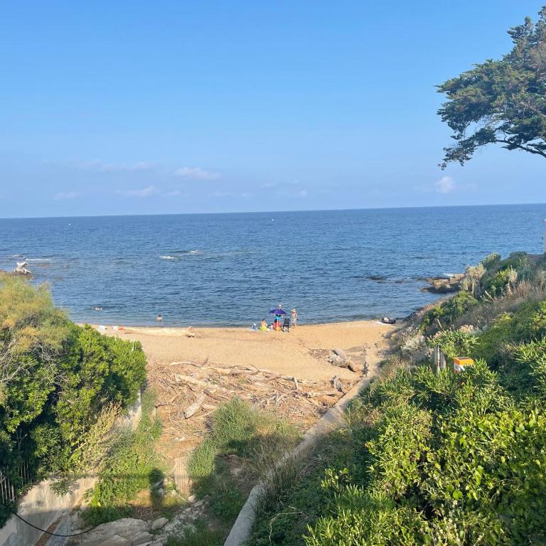 Beau 2 pièces emplacement n 1 proche de la mer - Apartment mit 1 Schlafzimmer - 33