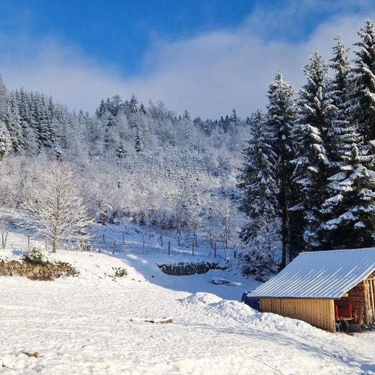 Maison de campagne et montagne près des stations de ski - Chalet 3 Chambres - 16