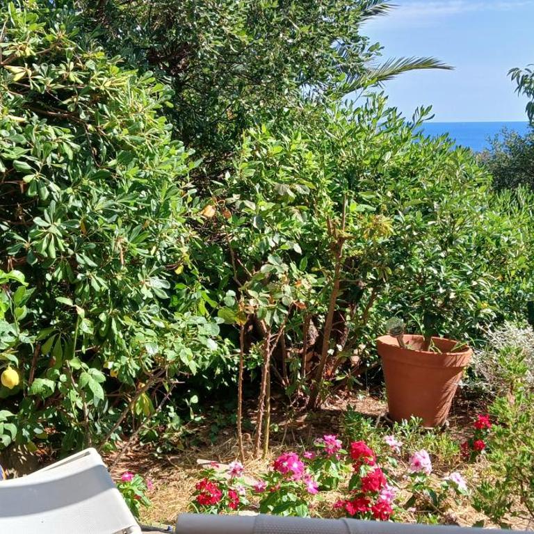 VILLA ANADINE - Aiguebonne BOULOURIS - PLEINE VUE MER - À 5 minutes à pied de la plage - Climatisée - Villa 3 Chambres - 18