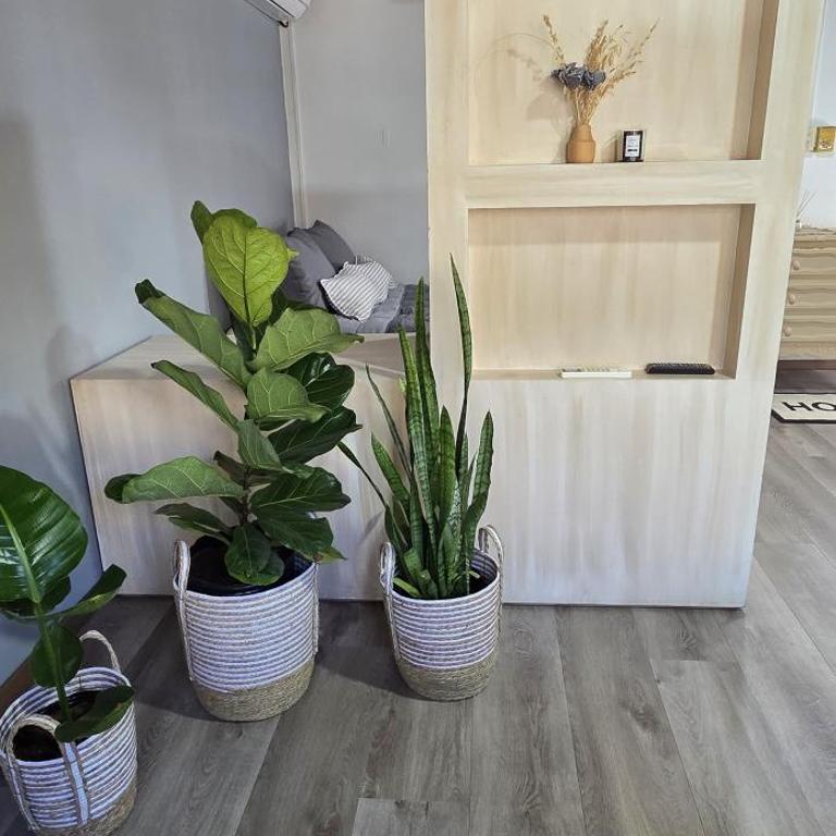 monoamb moderno - Apartamento de 1 dormitorio - 7