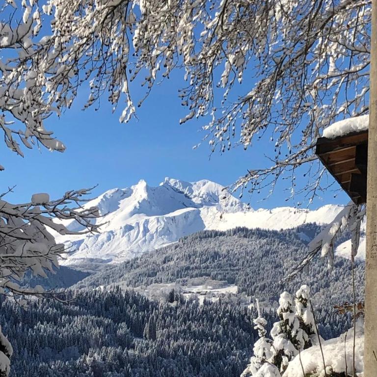 Charming mountain view apartment in Morzine - Apartment mit 2 Schlafzimmern - 2