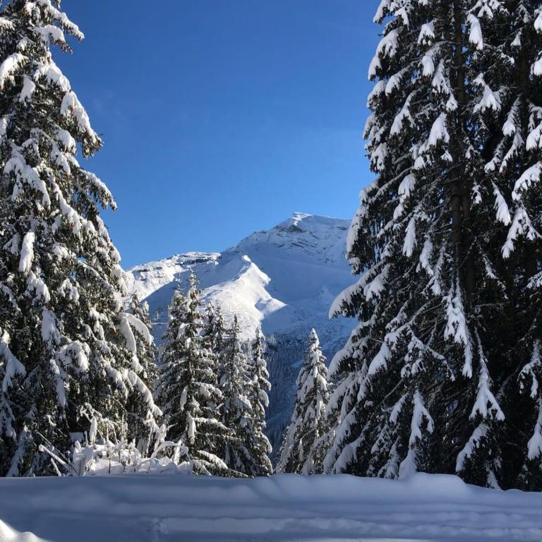Charming mountain view apartment in Morzine - Apartment mit 2 Schlafzimmern - 11