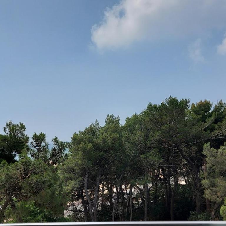 Trilocale International 14 - Two-Bedroom Apartment - 5