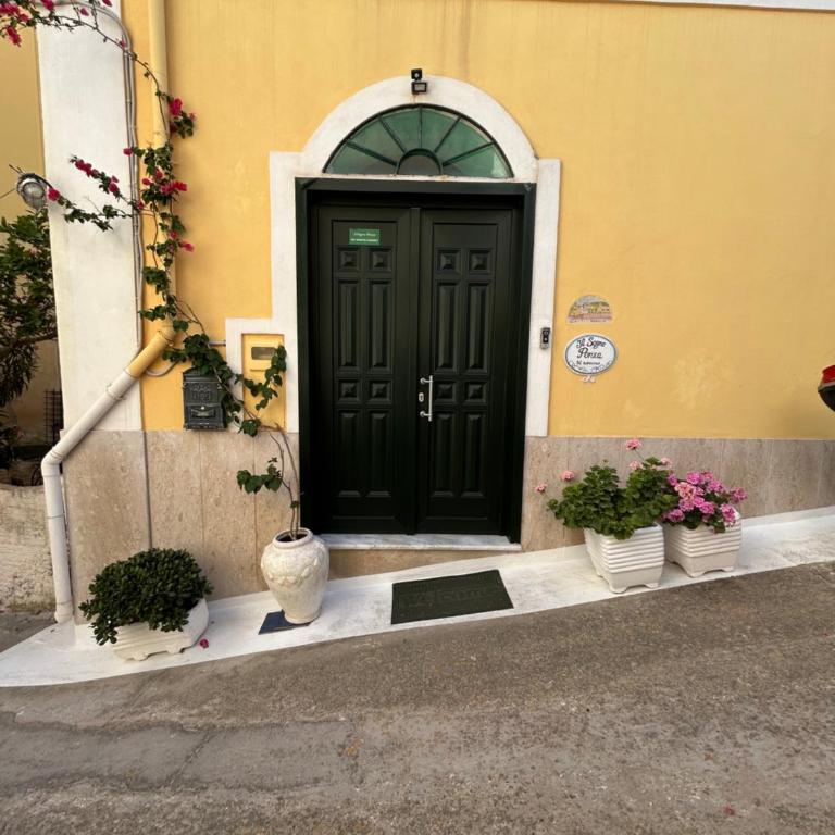 B&B Il Sogno Ponza - Camera Matrimoniale con Vista Mare - 2