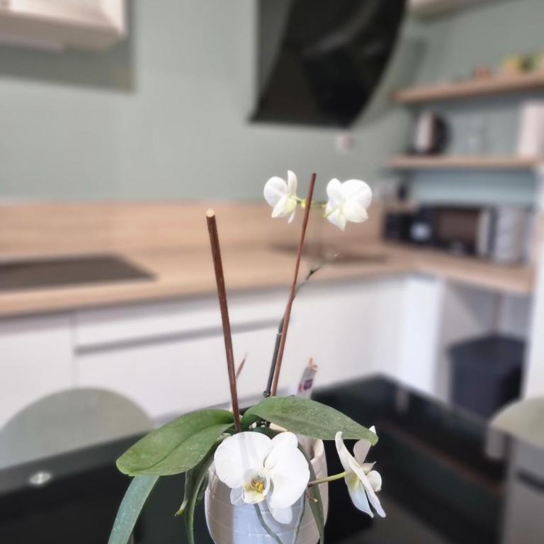 T1 bis nature et confort Vue montagne, proche Grenoble - Appartement 1 Chambre - 10