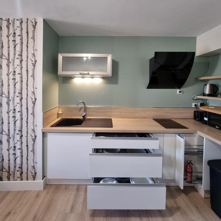 T1 bis nature et confort Vue montagne, proche Grenoble - Appartement 1 Chambre - 8