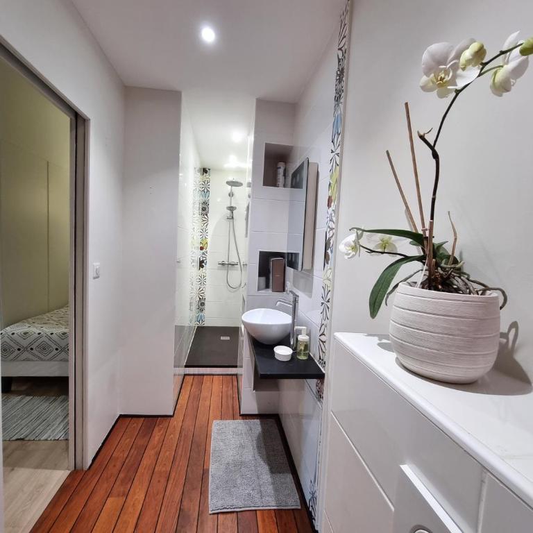 T1 bis nature et confort Vue montagne, proche Grenoble - Appartement 1 Chambre - 14
