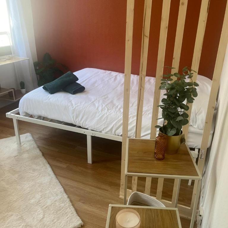 Terracotta - Appartement 1 Chambre - 3