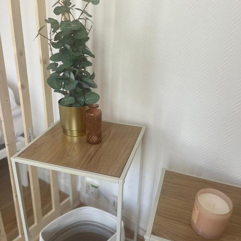 Terracotta - Appartement 1 Chambre - 14