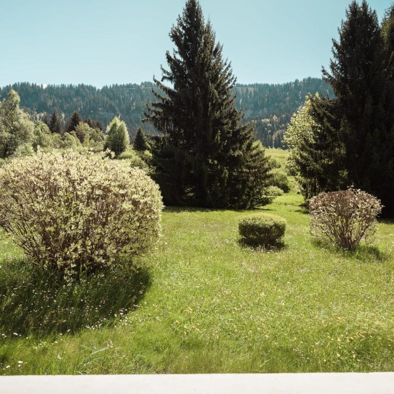 Chamois Blanc - Ideal for families - Apartment - 23