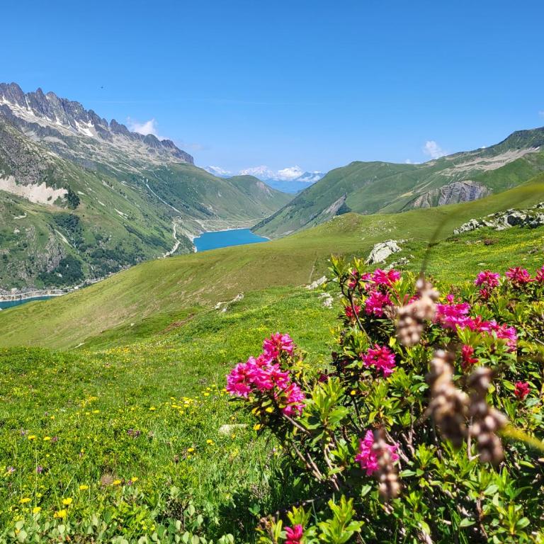 Chalet Amuse - Chalet - 34