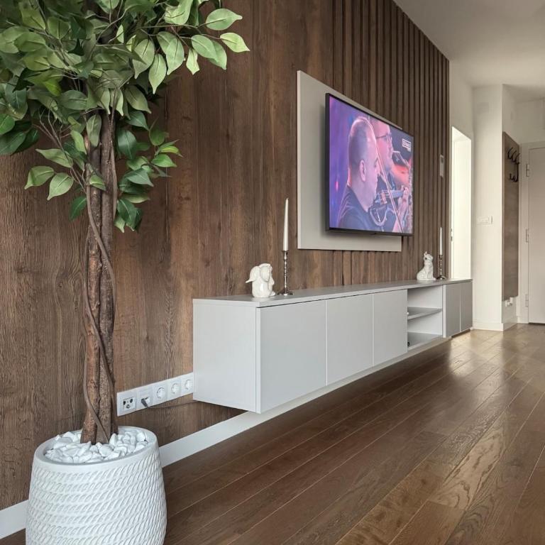 Palas Central Delux & SPA - One-Bedroom Apartment - 21