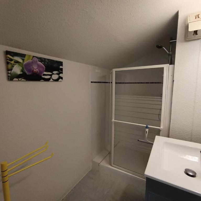 Résidence Ferme D'augustin - Batiment D - Grand appartement 8 personnes sur les pistes MAE-8274 - Appartement - 8