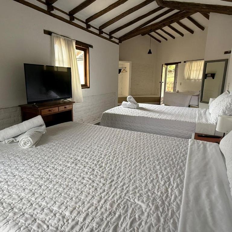 Hotel Montelux - Standard Family Room - 1