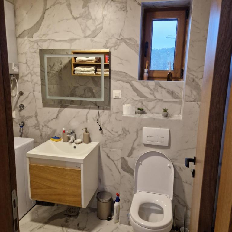 Apartman JAGODICA ZLATIBOR - One-Bedroom Apartment - 12