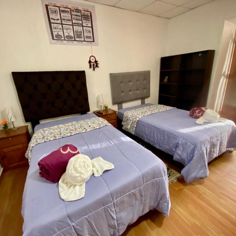 Guadita House - Apartamento Deluxe - 3