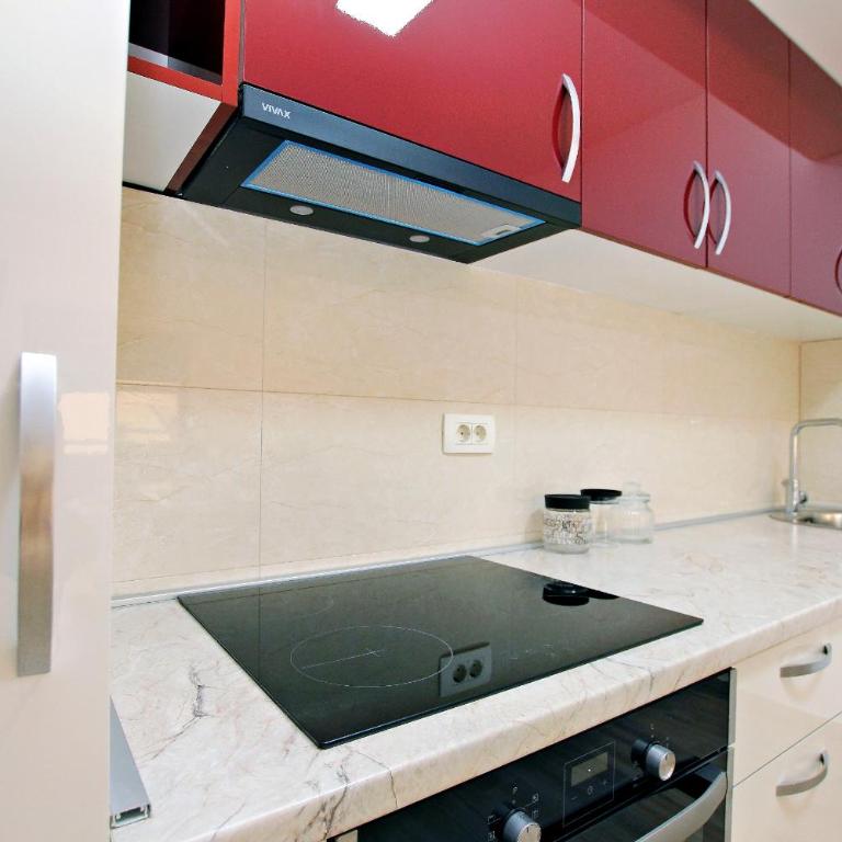 Apartmani Tajra Veliki Pijesak - One-Bedroom Apartment with Terrace - 33