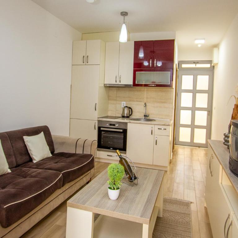 Apartmani Tajra Veliki Pijesak - Studio with Terrace - 9