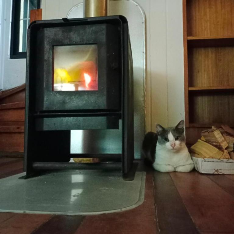 Hospedaje Primitivo - Habitación Doble con baño compartido - 2