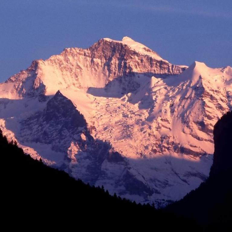 Residence Jungfrau - Appartement Eiger - 10