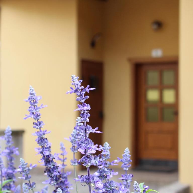 Casa di Gio - Appartamento con 3 Camere da Letto - 35