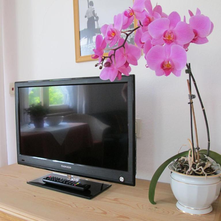 Gästehaus Bergstüberl - Studio-Apartment - 11