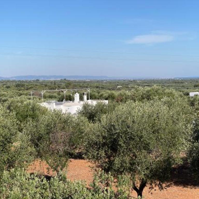 Trullo Tojo - Two-Bedroom House - 45