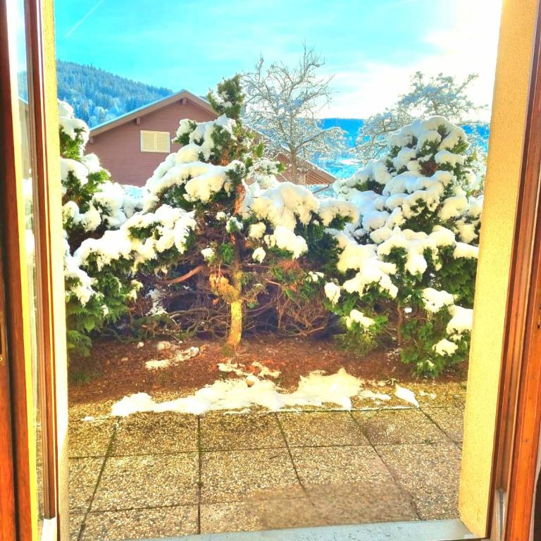 Charmant chalet - appartement avec chambre - terrasse - jardin- parking - proche toutes commodités et lac - calme - Appartement 1 Chambre - 18