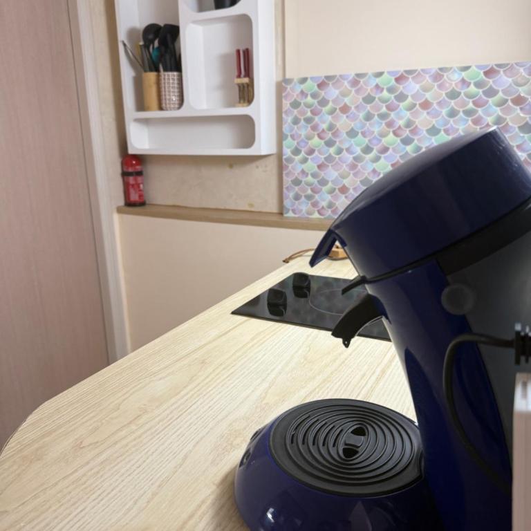 La Villa Saint Jean BAS DE VILLA - Appartamento con 1 Camera da Letto - 10