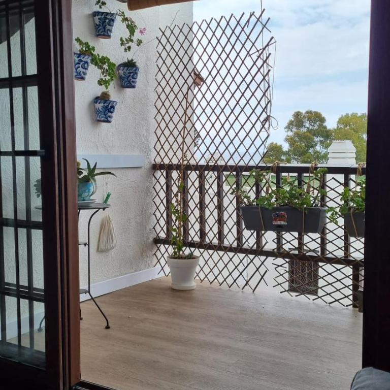 Apartamento 309 frente al mar en Alcossebre - Apartamento de 1 dormitorio - 4