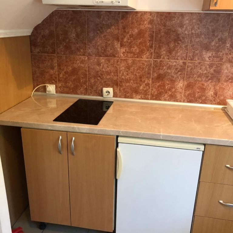 apartmani.miletic 1 - Standard Triple Studio - 3