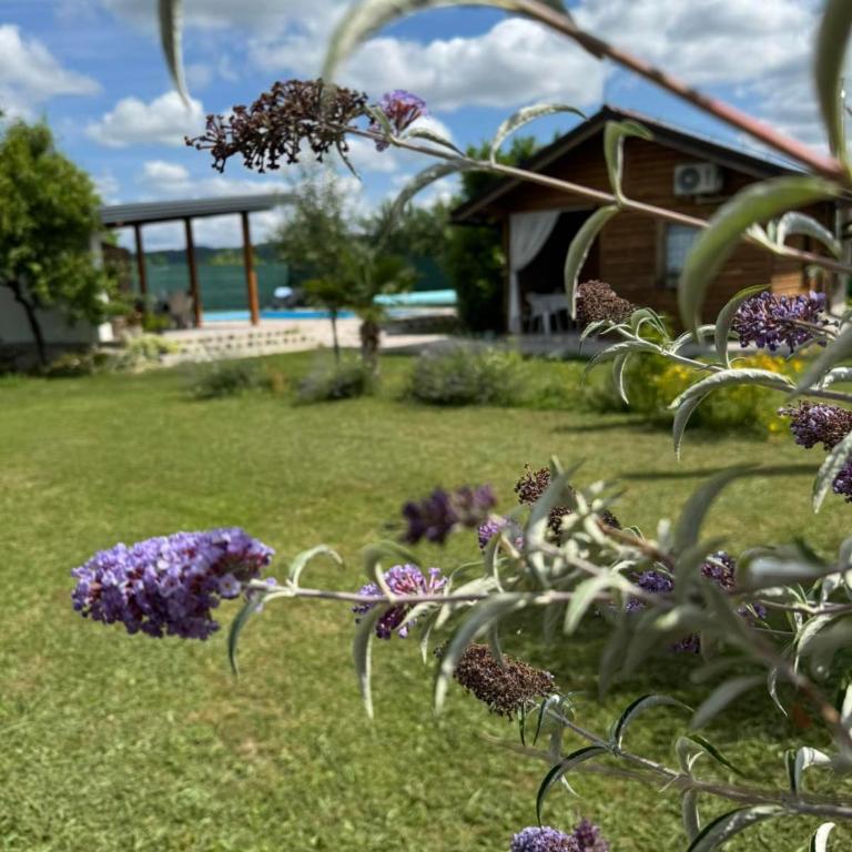 Crystal pool - One-Bedroom House - 24