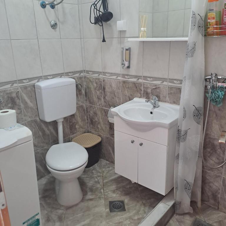 Apartmani Kosjerina - Apartman - 2