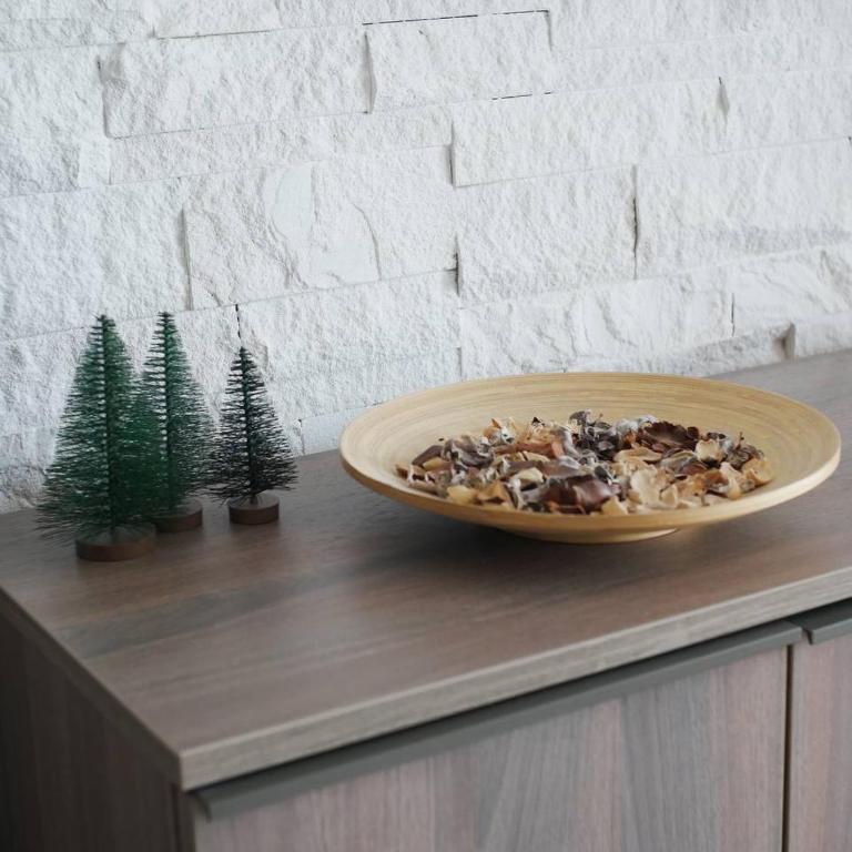 DeltaLux apartmani Milmari Kopaonik - Studio - 17