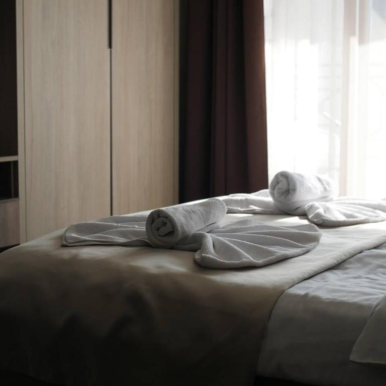 DeltaLux apartmani Milmari Kopaonik - Studio - 23