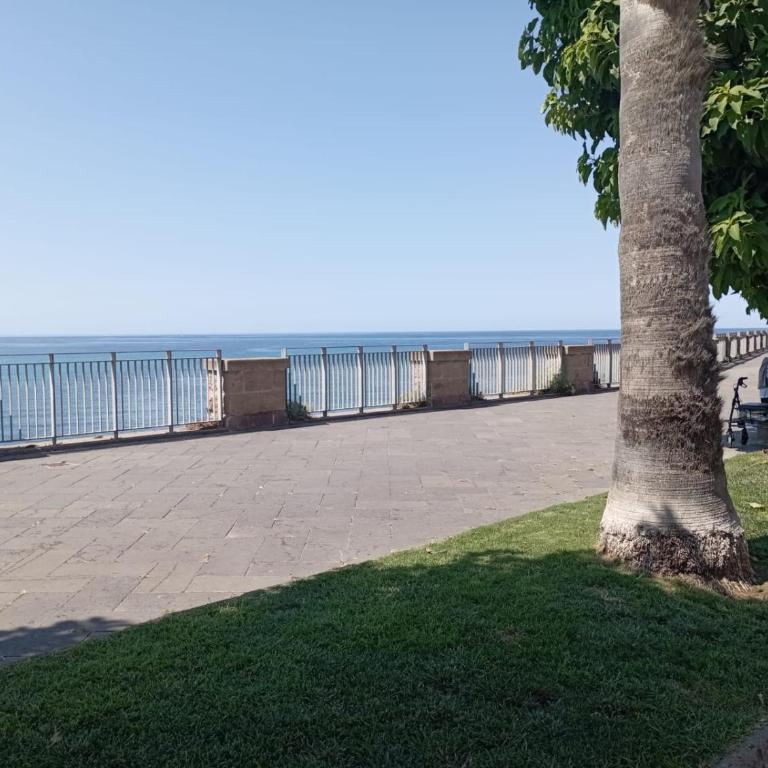 HABITATIO MALLORCa - Monolocale Familiare - 4