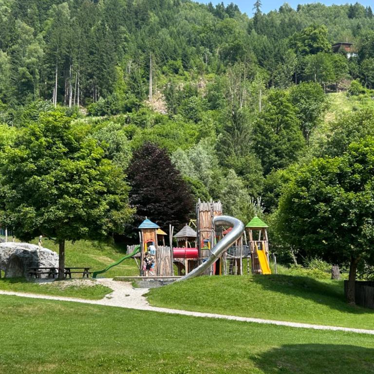 Zillertalerhütte - Haus mit 1 Schlafzimmer - 25