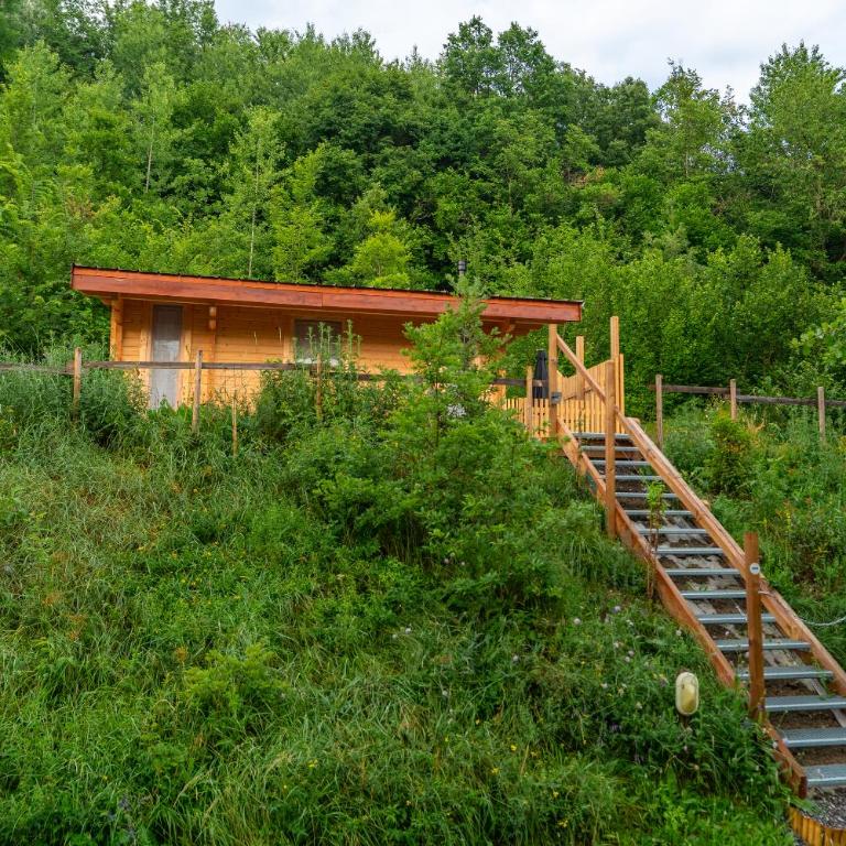 Les Lodges de la Valière - Chalet Supérieur - 2