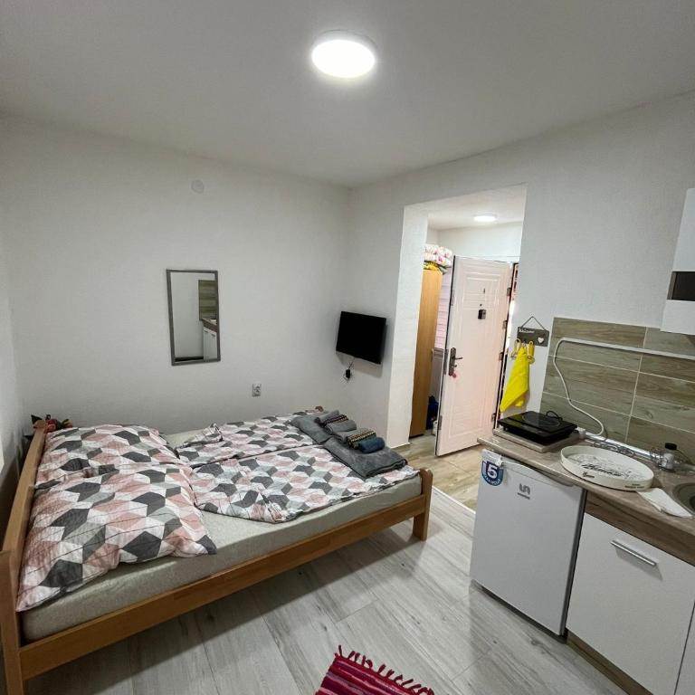 Dedovina - Dvokrevetna Soba sa Bračnim Krevetom /2 Zasebna Kreveta i Sopstvenim Kupatilom - 9