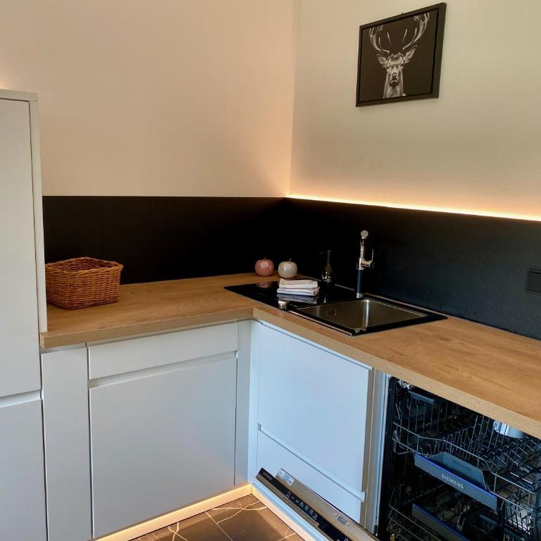 Bergelemente - Gmundberg Apartment - Apartment mit 1 Schlafzimmer - 32