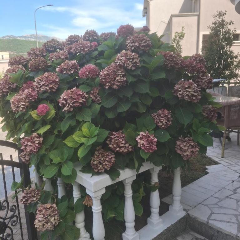 Hepi Budva - One-Bedroom Apartment - 9