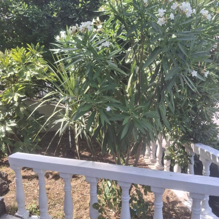 Hepi Budva - One-Bedroom Apartment - 8