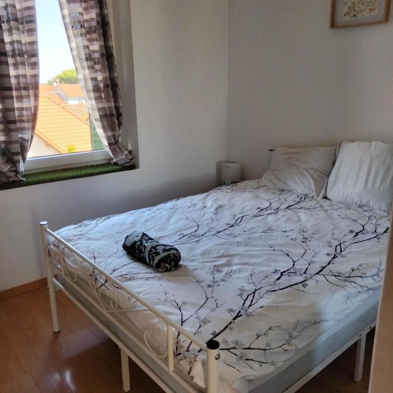 Joli T3 proche centre ville d'Avignon - Appartement 2 Chambres - 16