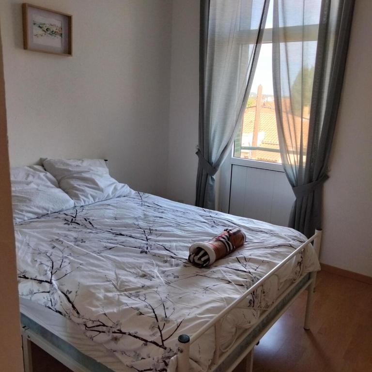 Joli T3 proche centre ville d'Avignon - Appartement 2 Chambres - 17