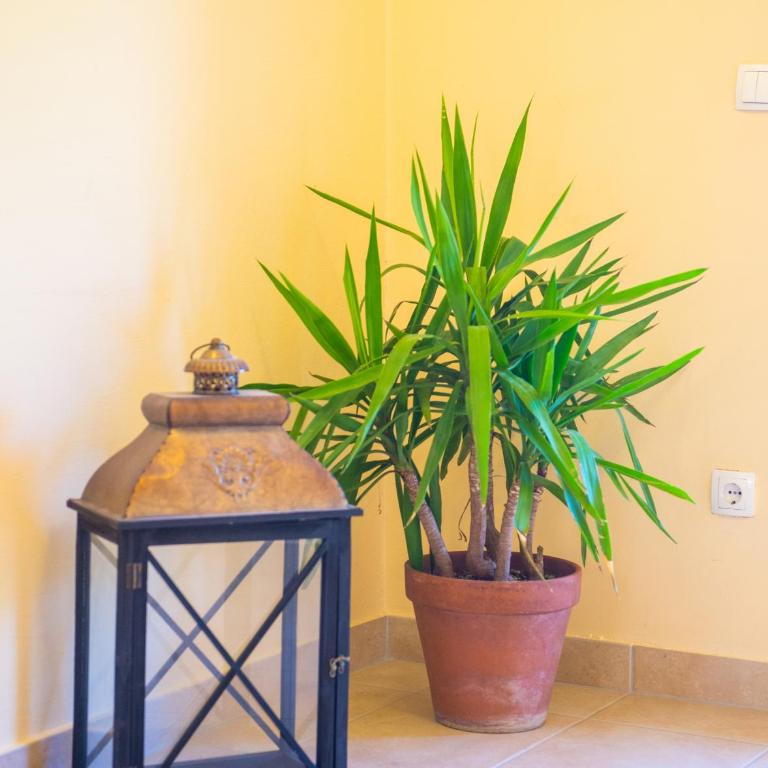 Villa Amor - Villa - 59