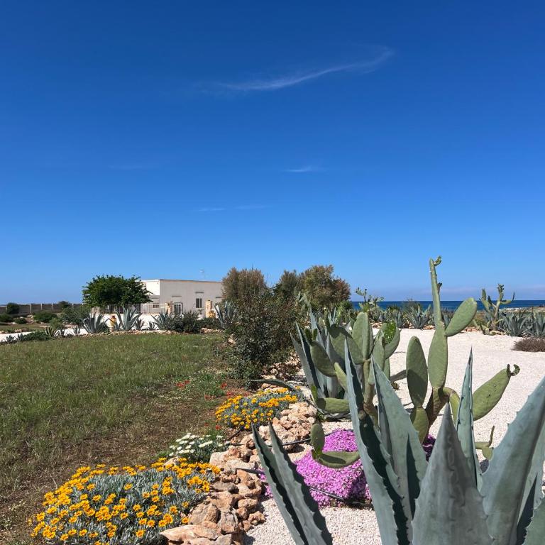 Masseria Ostuni Mare Agri Resort - Camera Matrimoniale Deluxe con Balcone e Vista Mare - 18