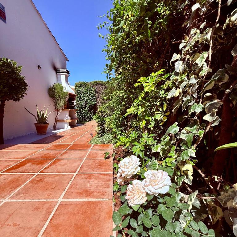 Comfortable apartment near the sea - Apartamento de 2 dormitorios - 9