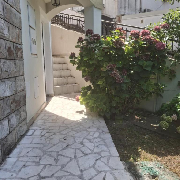 Hepi Budva1 - One-Bedroom Apartment - 15